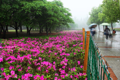 花园大学城组图二