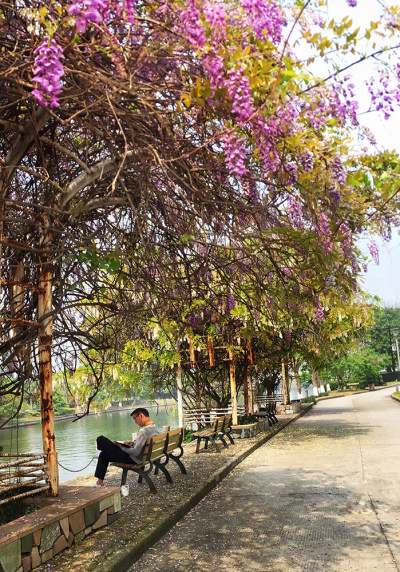 花园大学城组图八