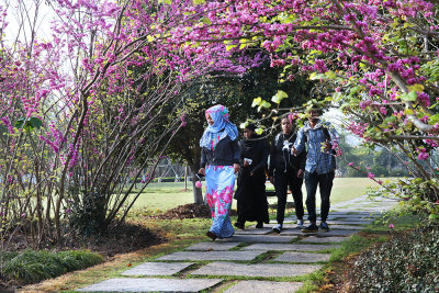 花园大学城组图四