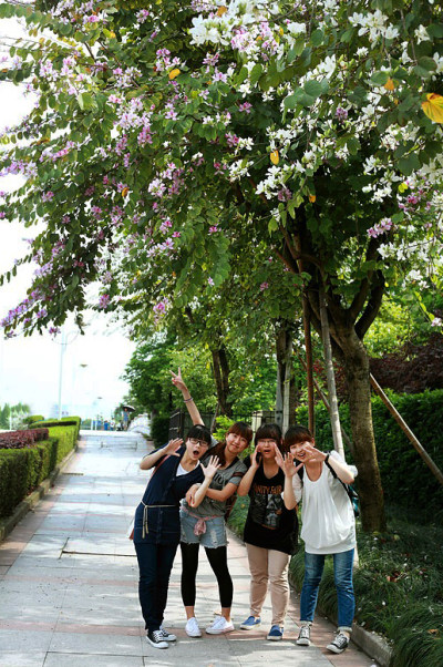 花园大学城组图七