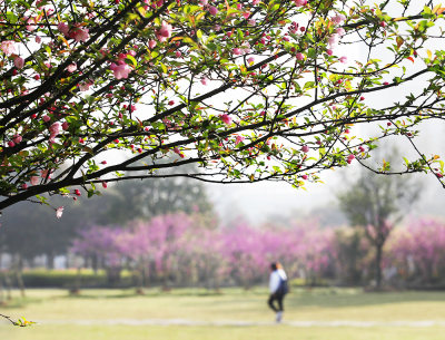 花园大学城组图三
