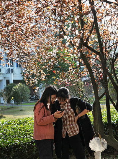 花园大学城组图十