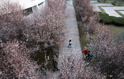 花园大学城组图六