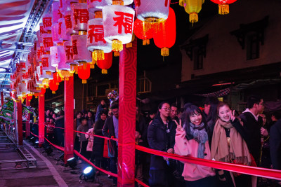 非遗鸟灯组图四