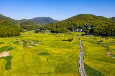 美丽田园综合体 组照2