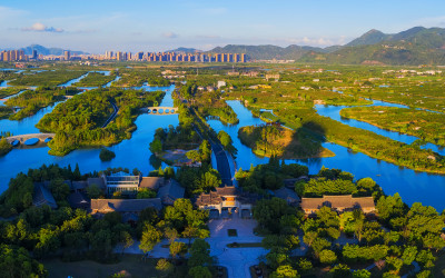 三垟湿地越来越美组照6