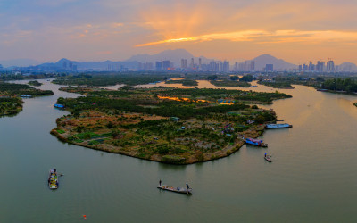 建设中的三垟湿地 组照4