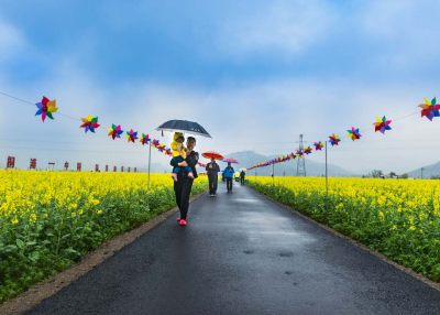 拍摄于桐浦镇桐浦村
