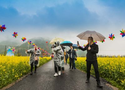 拍摄于桐浦镇桐浦村