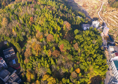 拍摄于云岭的一路风景