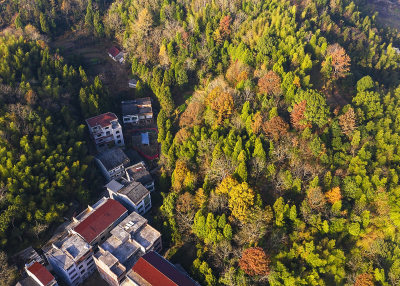 拍摄于云岭的一路风景