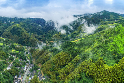 雾绕乡村田园拍摄于2020年9月泽雅