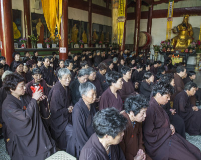 天护寺祭拜活动拍摄于温州仙岩