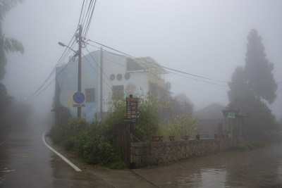 组图4