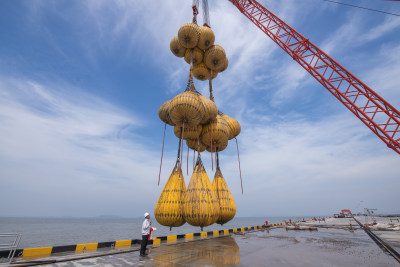 载荷成功