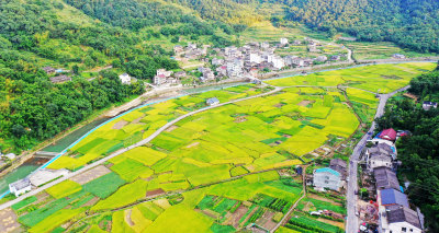 泽雅镇周岙村