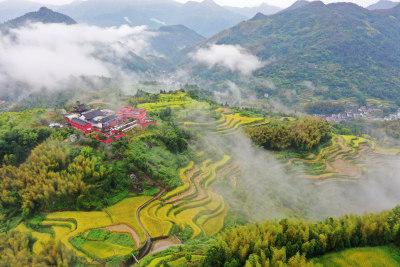泽雅镇言章村
