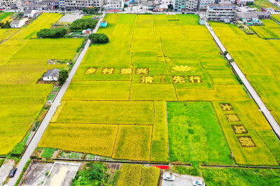 潘桥街道马桥村