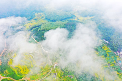 泽雅镇屿山村
