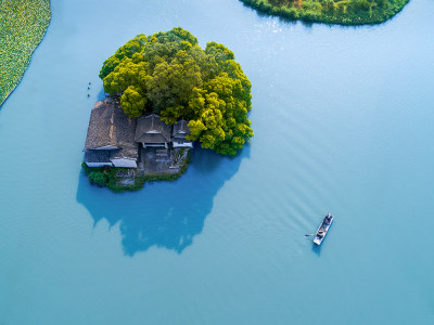 湿地风光之2