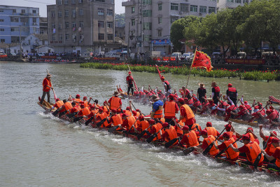 端午赛龙舟3