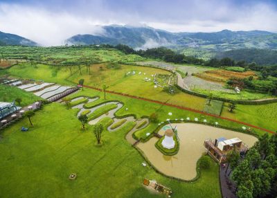 泰顺县柳峰乡墩头村高场自然村倾力打造的一座集牧业休闲、养生度假、科普教育、创意农业以及牧场体验于一体