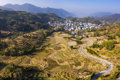 去岭北村和岭南村的路上的风景