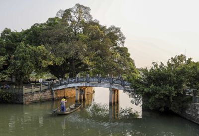 榕河增辉 