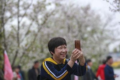 赏花“跑马”