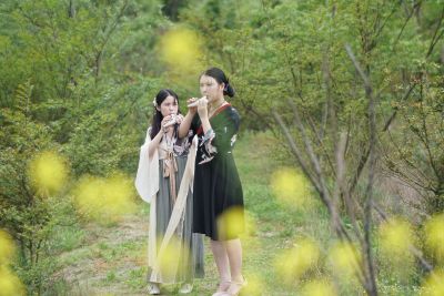 云雾缭绕 岭上人家 