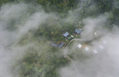 春染云岭 雾浸茶新 