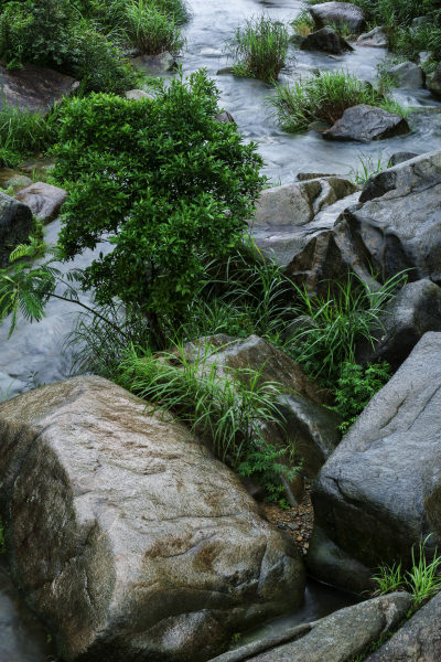 雨后突出草木在溪中雄伟