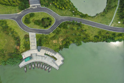湿地蜕变