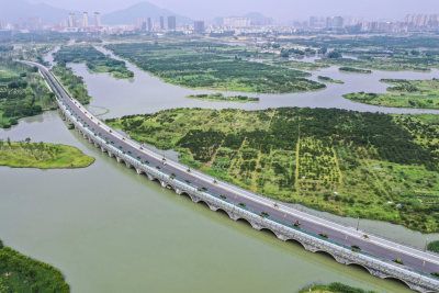 湿地蜕变