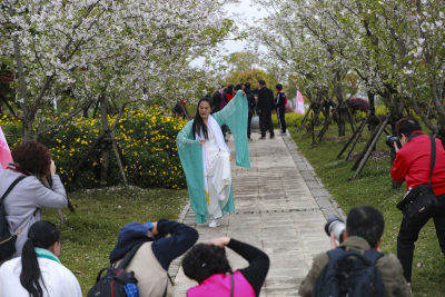 赏花拍花赏花拍花