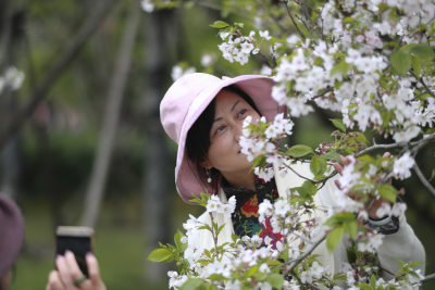 赏花拍花