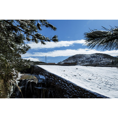龙井山风光-6