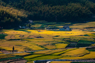 纸山粮仓北林垟