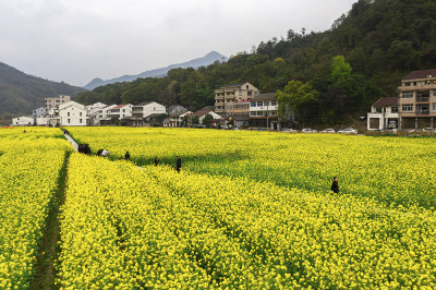 美丽乡村