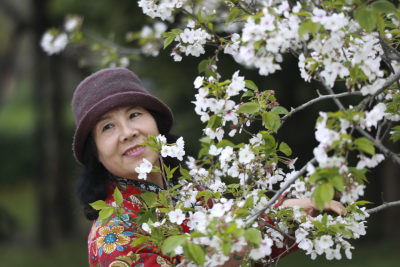 抚琴赏花不负春光
