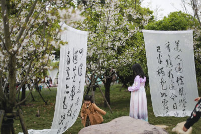 抚琴赏花不负春光
