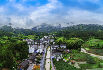 泰顺竹里绿色畲乡组图4