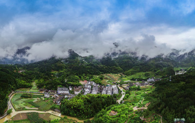 泰顺竹里绿色畲乡组图2