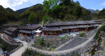 绿色林坑