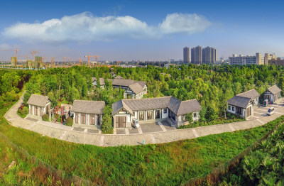 美丽绿色瓯江口新区组照之五
