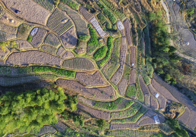 云岭绿色生态田园风采组图3
