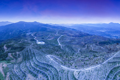 大地纹理云岭山茶园4