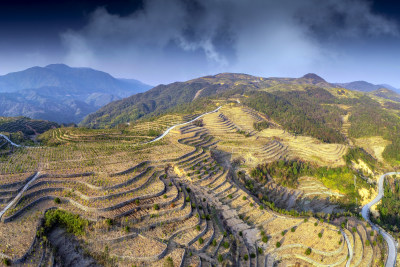 大地纹理云岭山茶园2