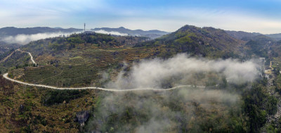 云岭云雾组图4
