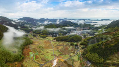美丽北林垟田园美景组图6
